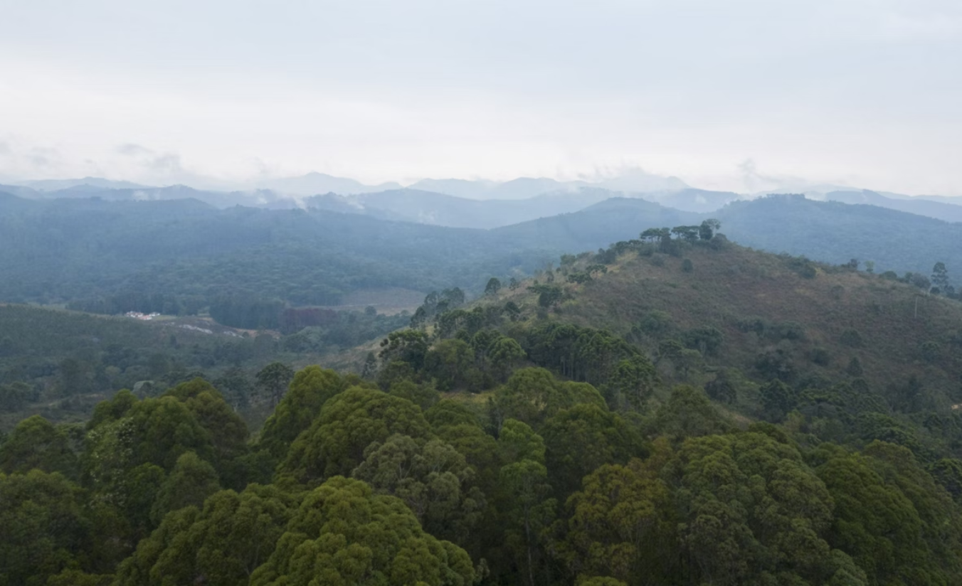 Vista da Serra da Mantiqueira ao amanhecer com neblina sobre as montanhas, típica de Campos do Jordão no inverno