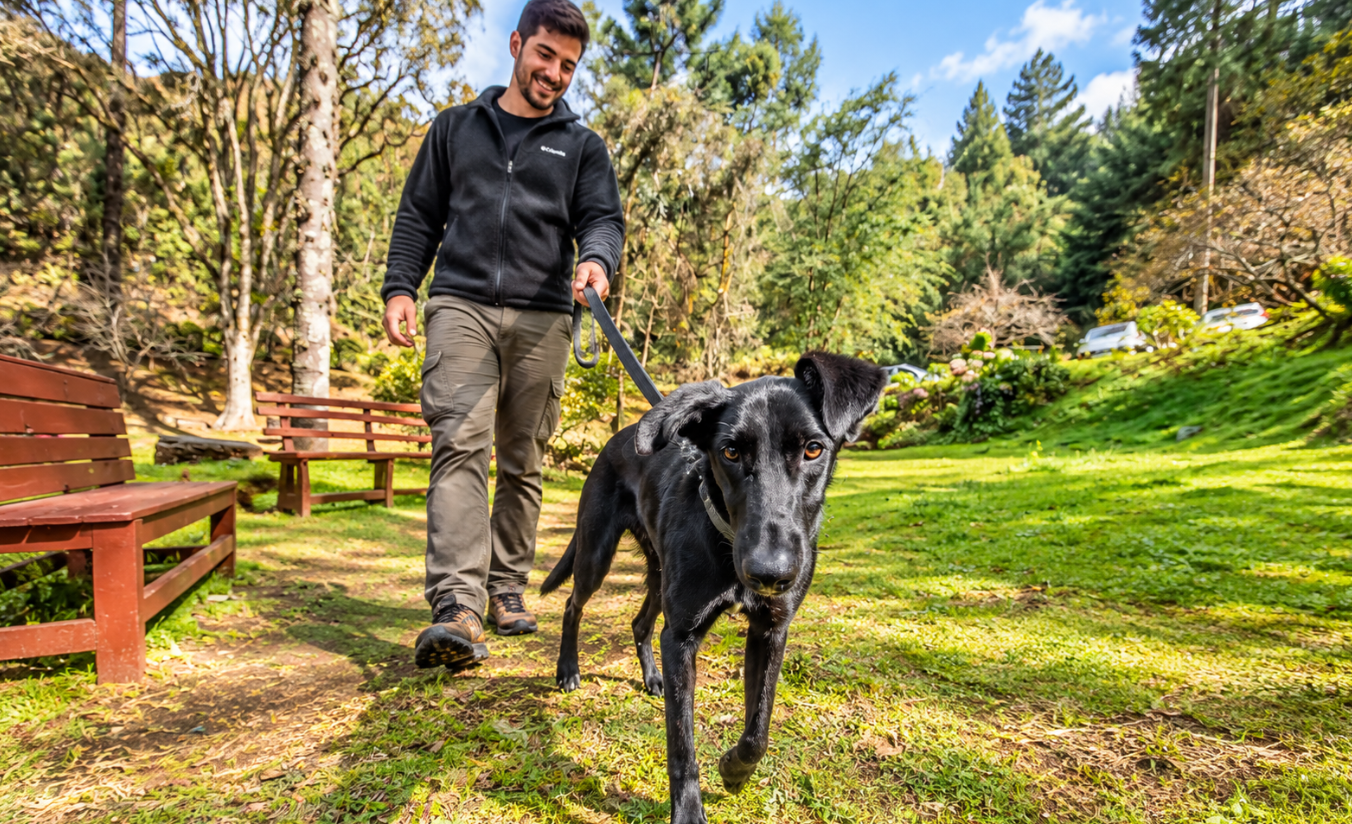 Tutor caminhando com cachorro pela área verde do Hotel Fazenda Golden Park Campos do Jordão